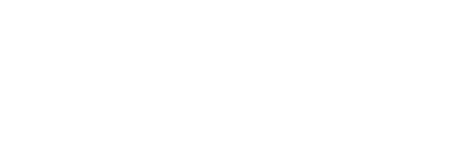 Puls